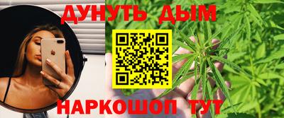 mdpv Краснознаменск