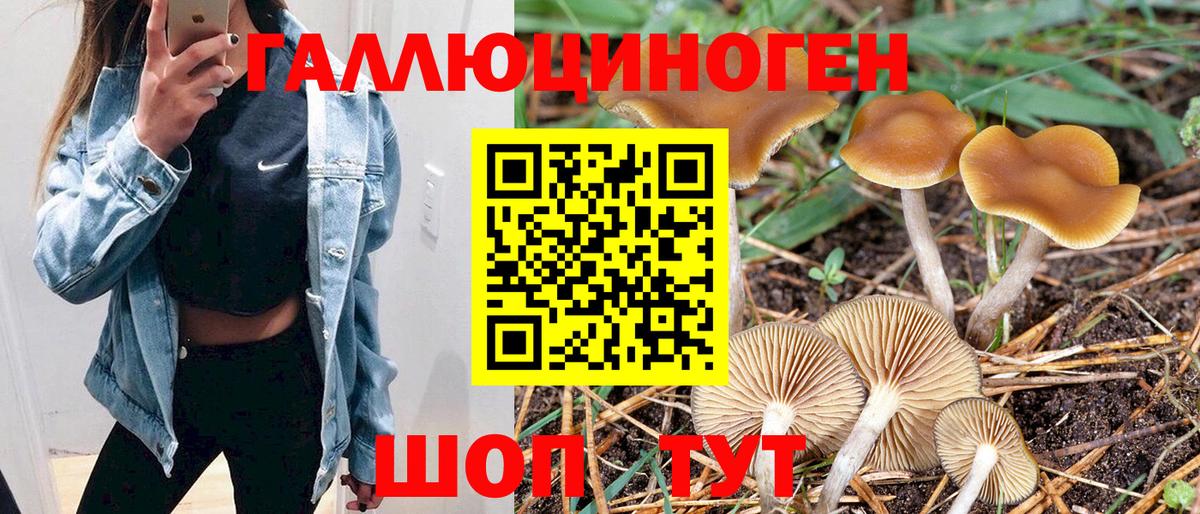 Галлюциногенные грибы MAGIC MUSHROOMS  даркнет сайт  Усть-Илимск  Вход с VPN 